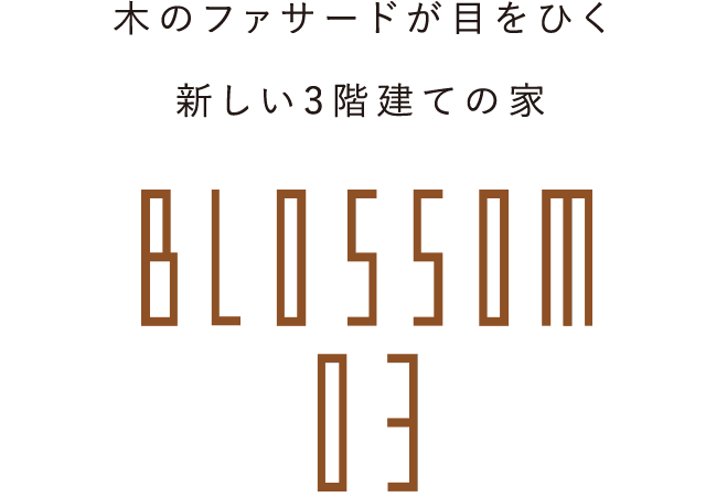 BLOSSOM 03