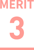 MERIT 3
