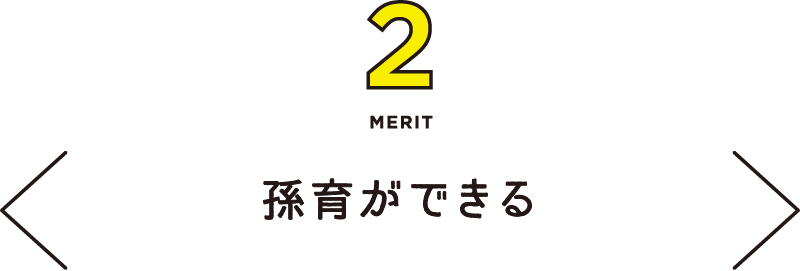 MERIT2 孫育ができる