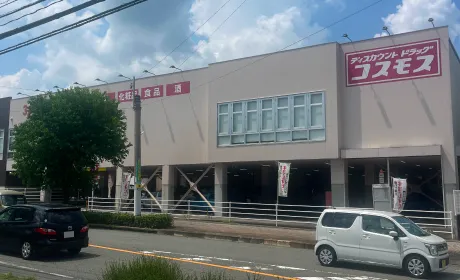 ドラッグストアコスモス原田駅店